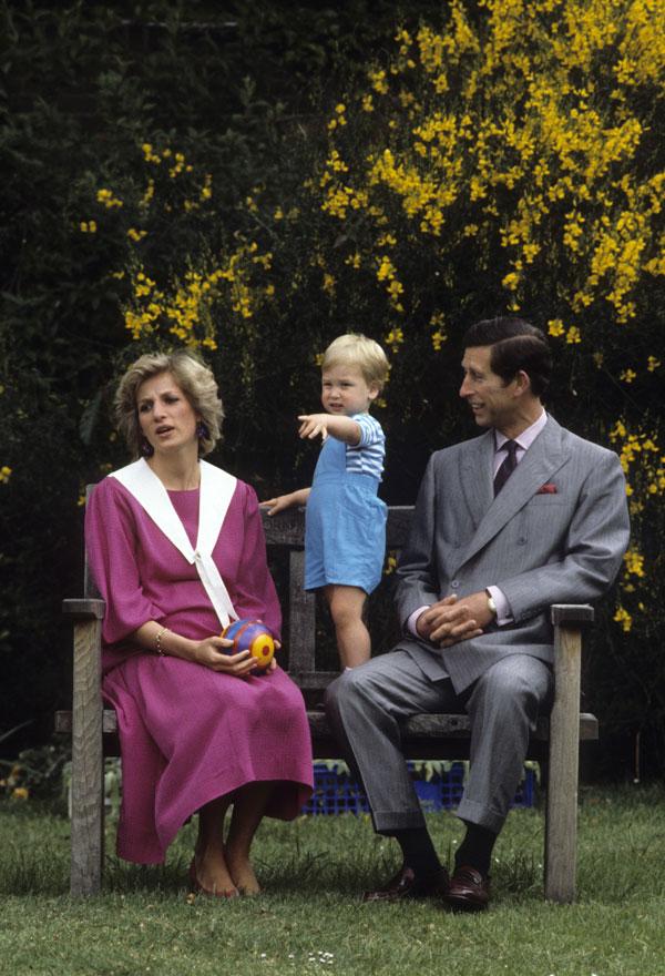 Prince William Princess Diana Death Grief