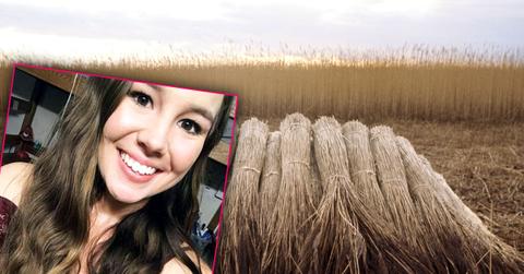 //missing college student family speaks out pp