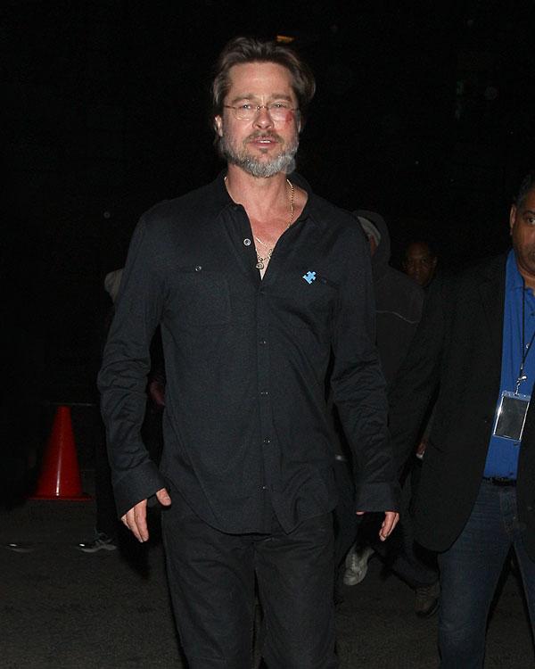 Cruising For A Bruising! 5 Shocking Photos Of Brad Pitt’s Mysterious ...