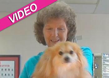 //diamond eating dog honey bun