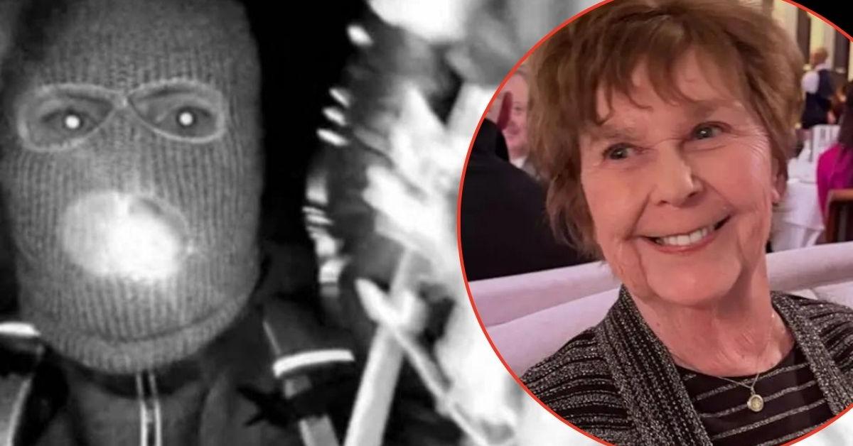 Nancy Guthrie's Terror-Stricken Neighbors Rush to Build…