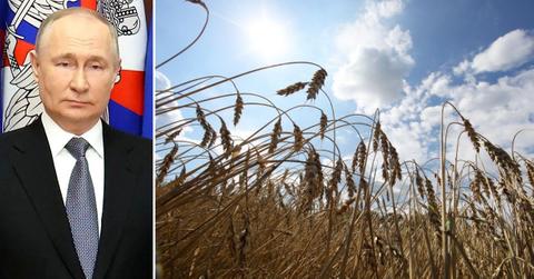 vladimir putin secret weapon russia stole b grain ukraine invasion