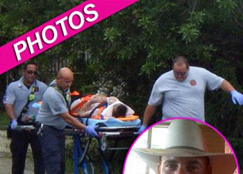 //margaret webb alligator attack splash