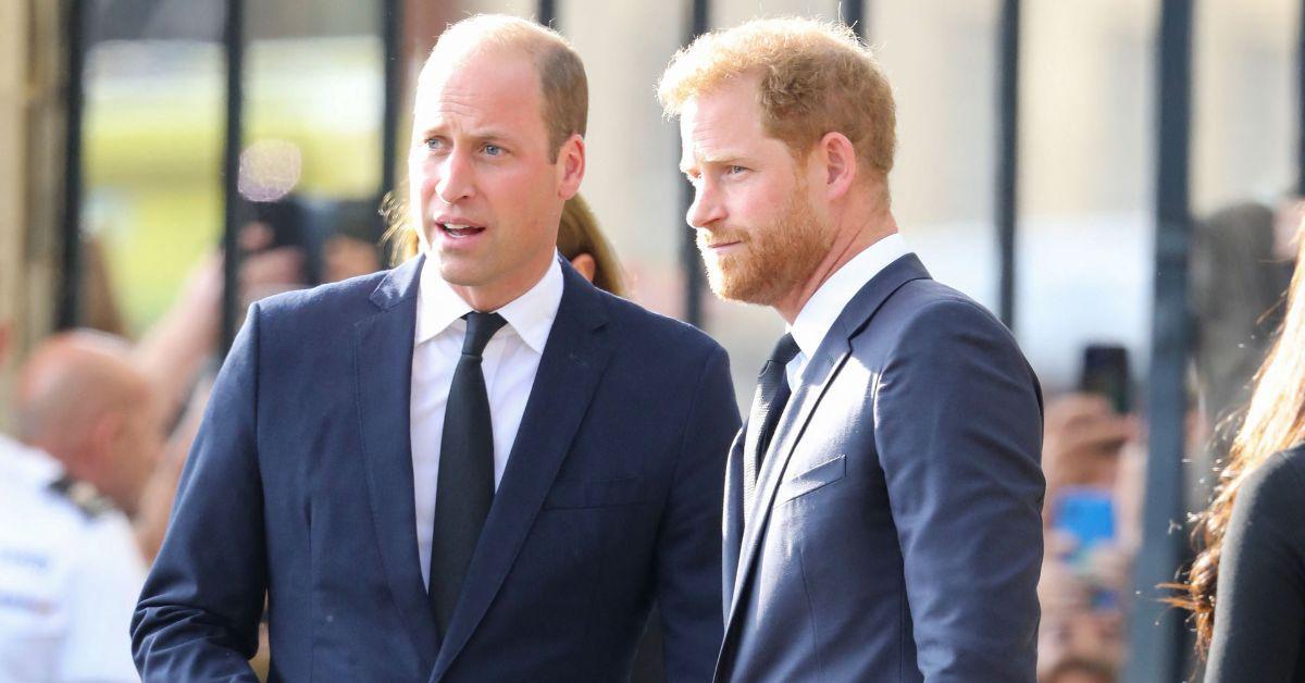 Photo of Prince William and Harry