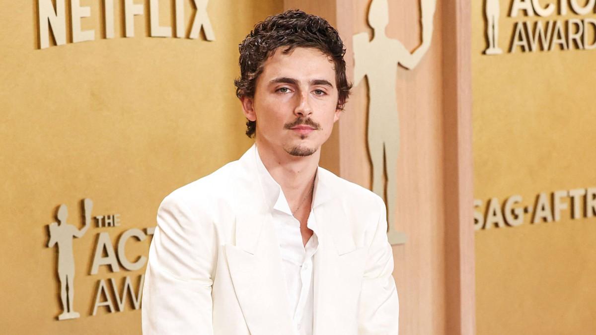 Photo of Timothée Chalamet 