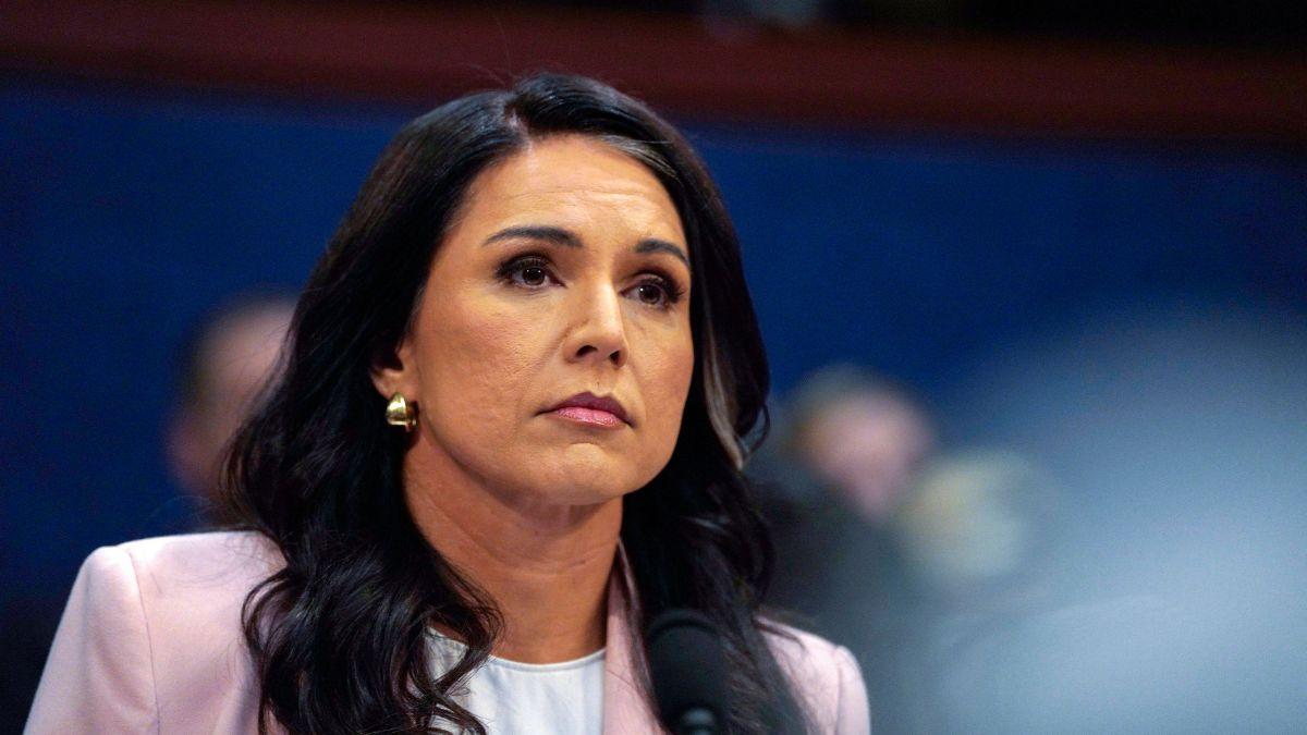 Photo of Tulsi Gabbard