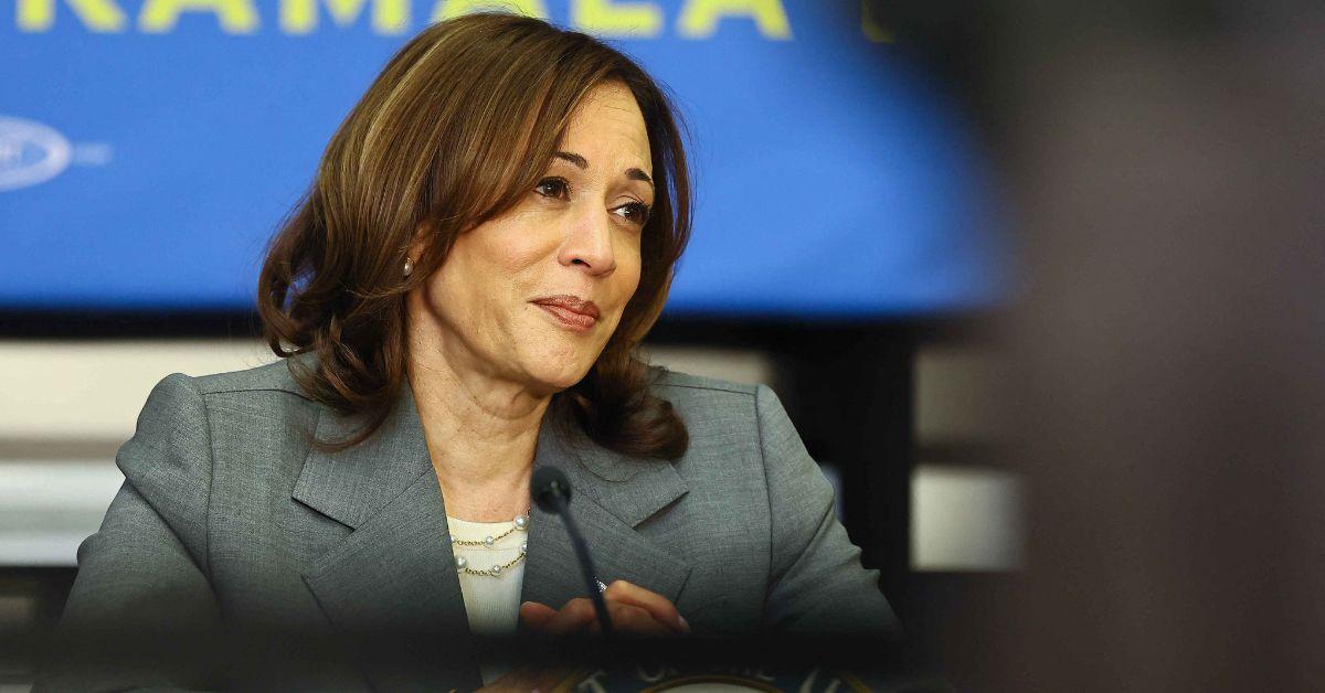 kamala harris clash pro palestine protestor heated fundraiser detroit