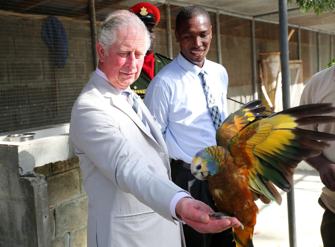 Prince Charles and Camilla Duchess of Cornwall Let Loose in the Caribbean