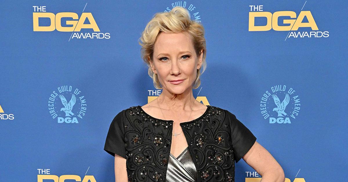 anne heche her son homer pp