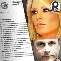 //tamra barney simon custody fight mediation session documents rhoc sq