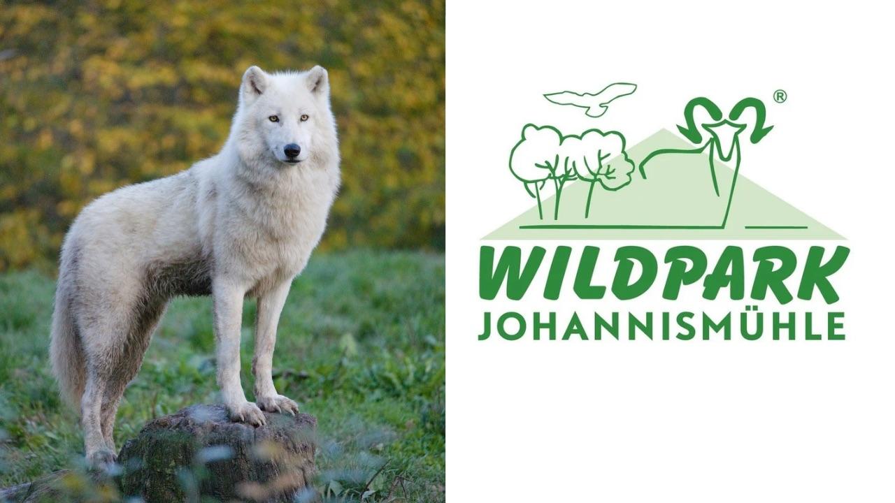 Wolf and park logo