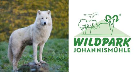 Wolf and park logo