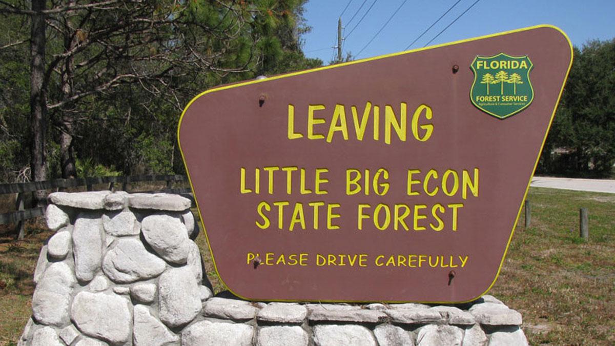 The friends were swimming in the Little Big Econ State Forest over the weekend.