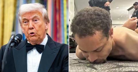 donald trump, Cole Tomas Allen