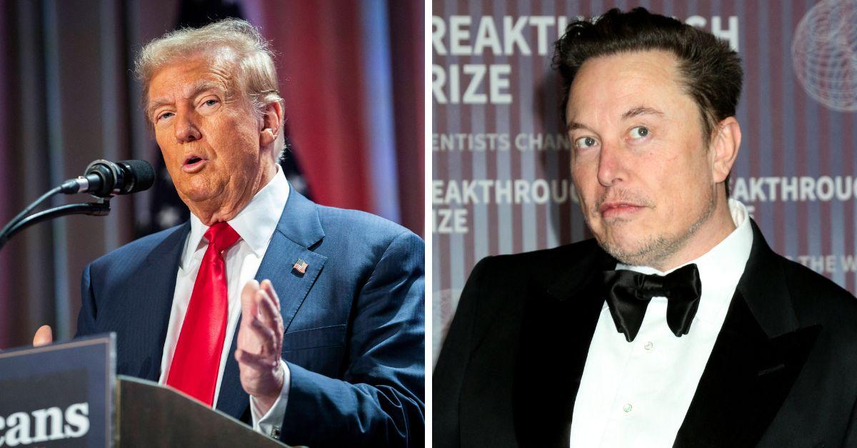 elon musks doge role in donald trumps administration what to know