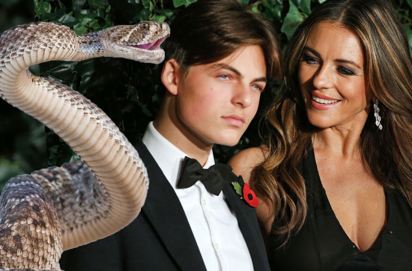 Liz Hurley Saved Son Damian’s Life In Horror Snake Attack