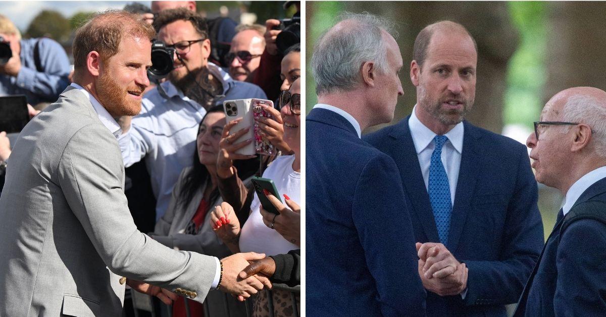 Split photos of Prince William and Harry