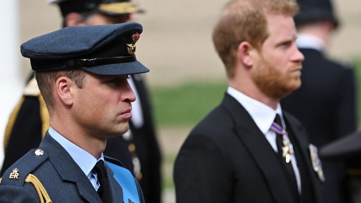 Photo of Prince William and Prince Harry 