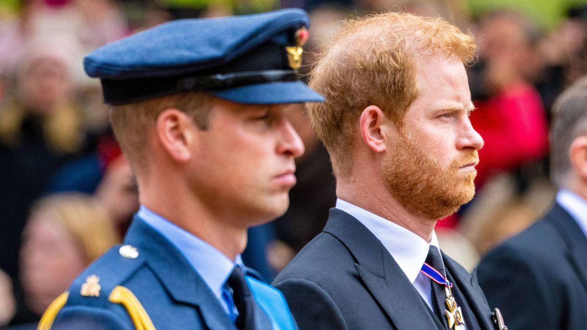 picture of Prince William and Prince harry