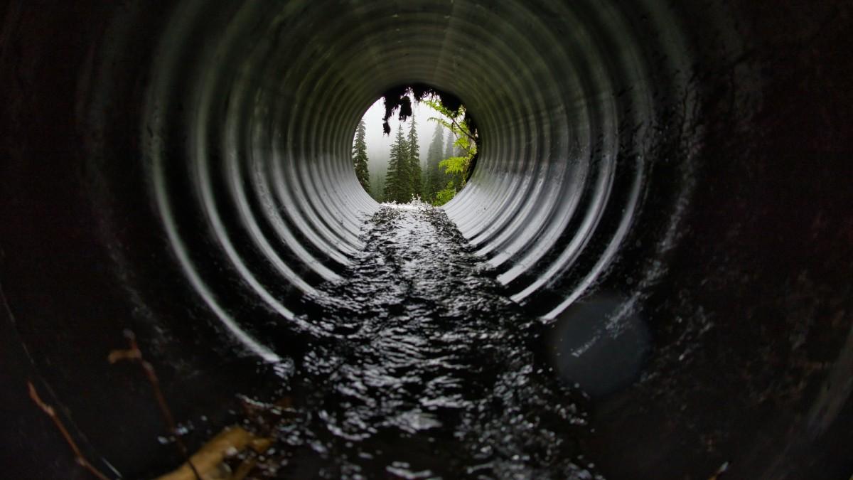 Photo of sewer