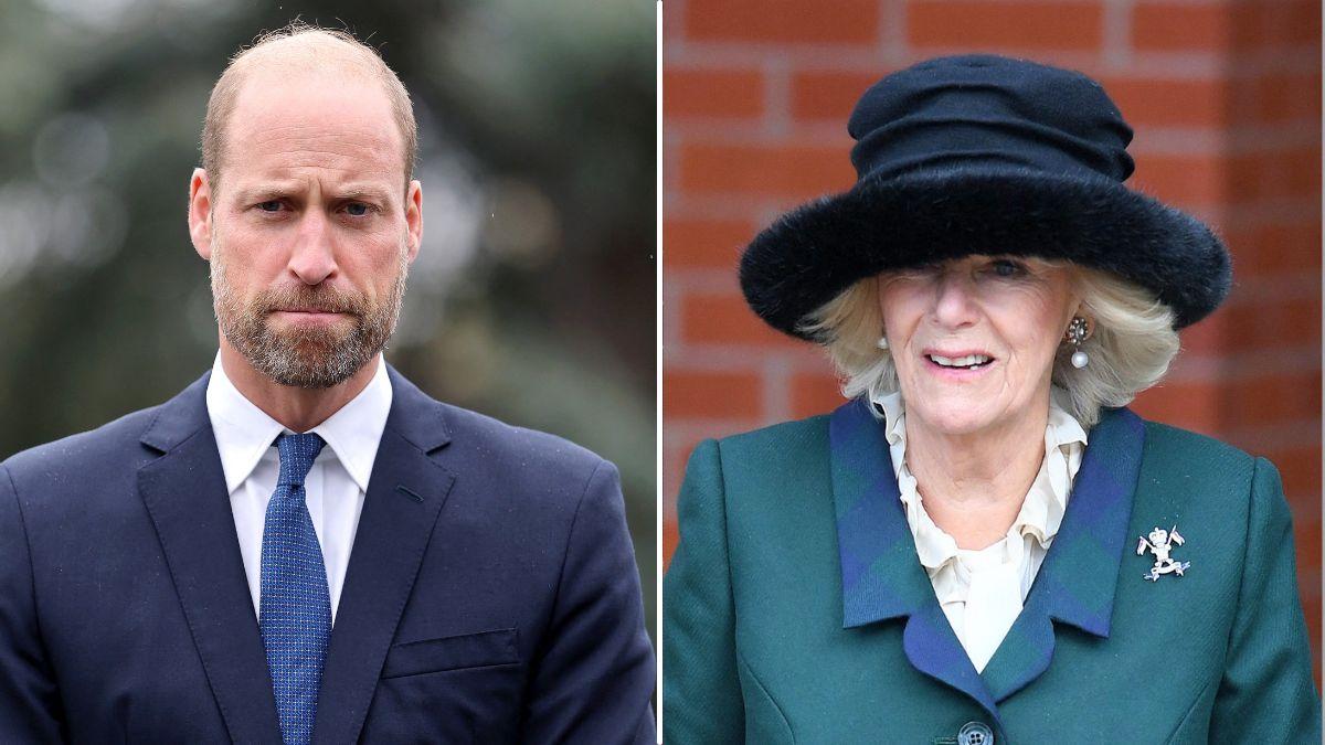 Photo of Prince William and Queen Camilla