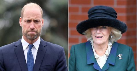 Photo of Prince William and Queen Camilla