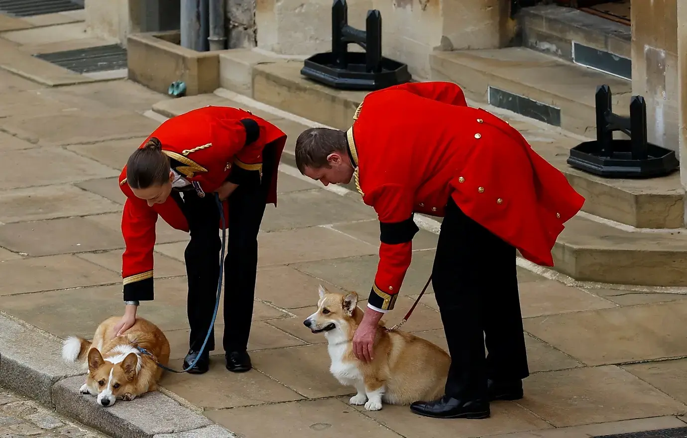 sarahferguson corgis