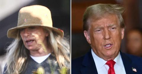 Split photo of Barbra Streisand, Donald Trump