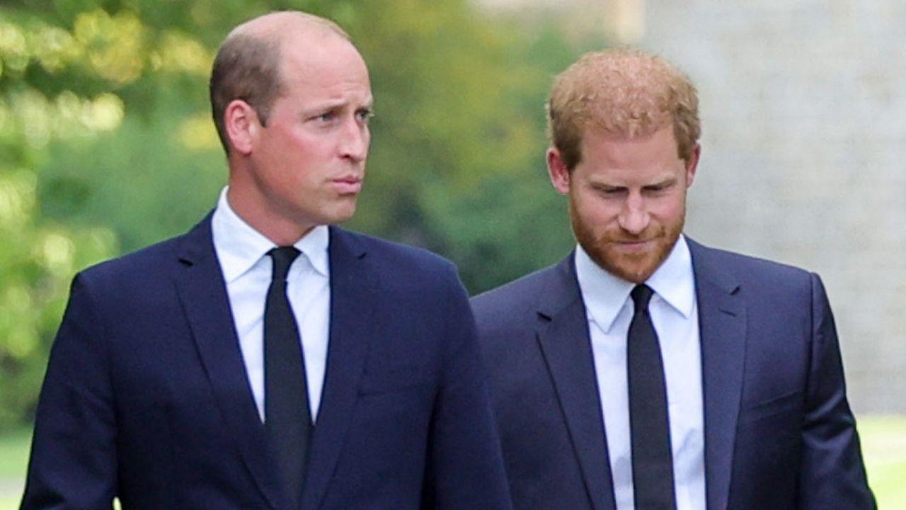 Photo of Prince William and Prince Harry