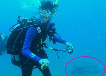 //gabe watson murder wife australia