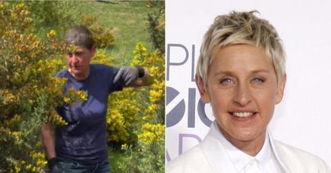 Split photo of Ellen DeGeneres