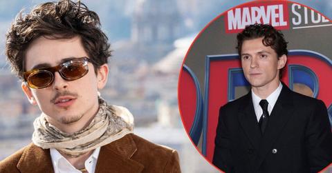 Timothée Chalamet is reportedly jealous of Tom Holland's movie success as both stars rise in cinema.