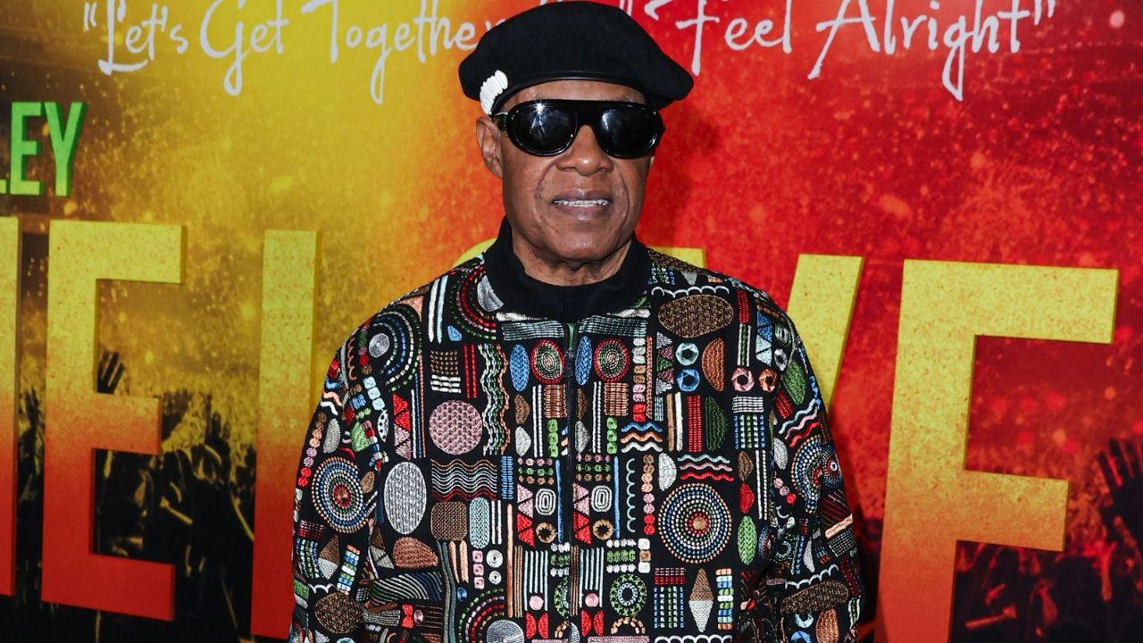 Image Of Steve Wonder