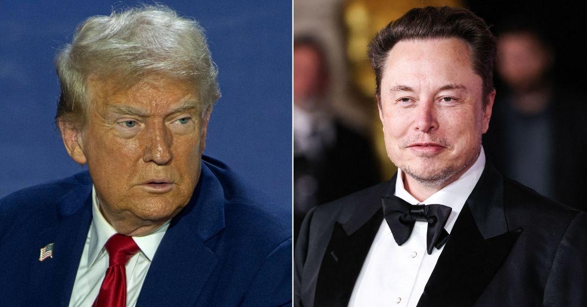 trump advisor elon musk