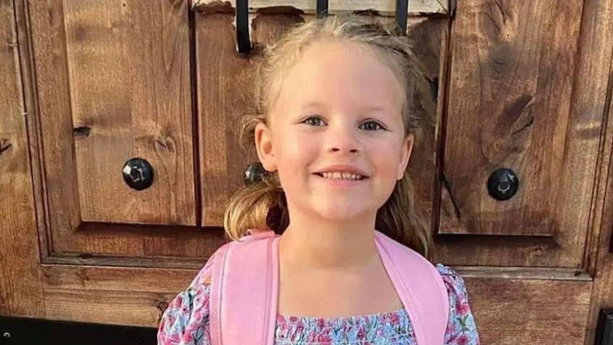 image of Prosecutors presented forensic evidence linking injuries on Strand to Horner’s FedEx delivery van interior.