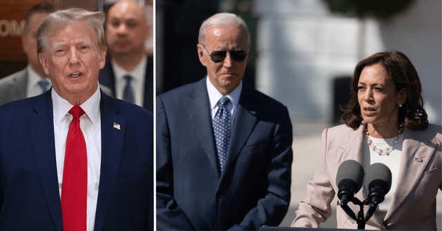 donald trump joe biden kamala harris