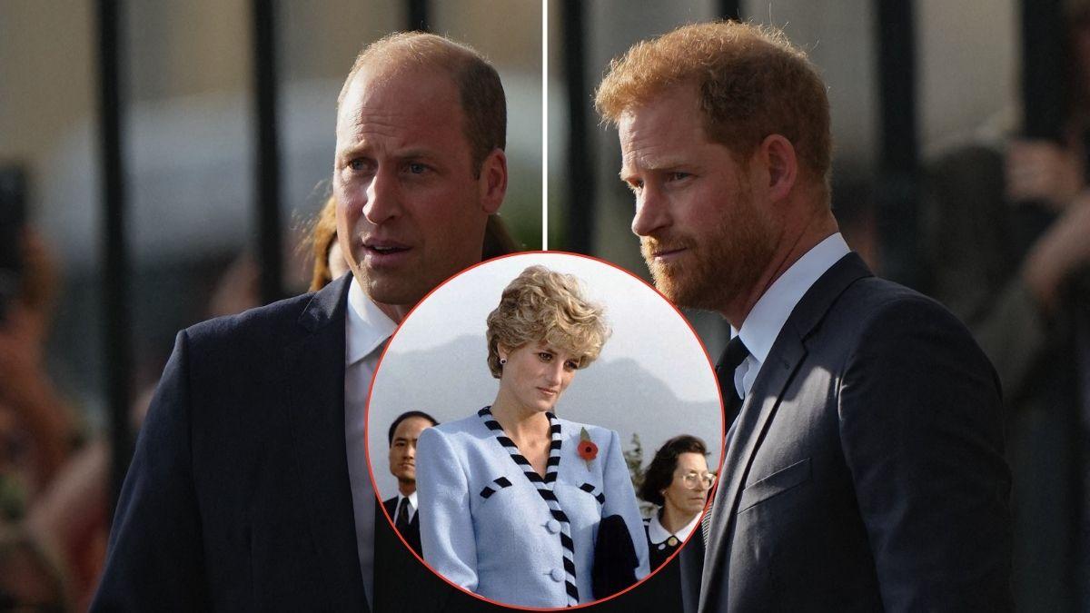 Photo of Princess Diana, Princes William and Harry