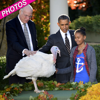 //barack obama pardon turkey