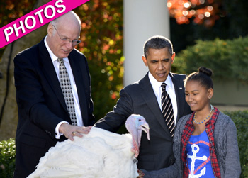 //barack obama pardon turkey
