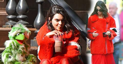 //kendall jenner kermit the frog met gala pp