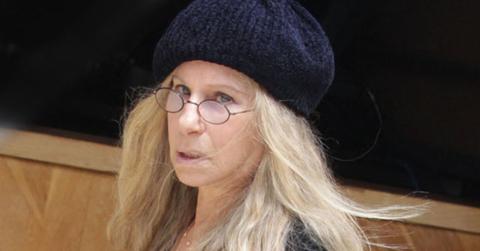 Barbra Streisand Tinnitus Brain Virus