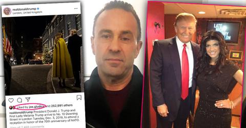 Inset Pres Trump Instagra, Inset Trump and Teresa Giudice, Joe Giudice