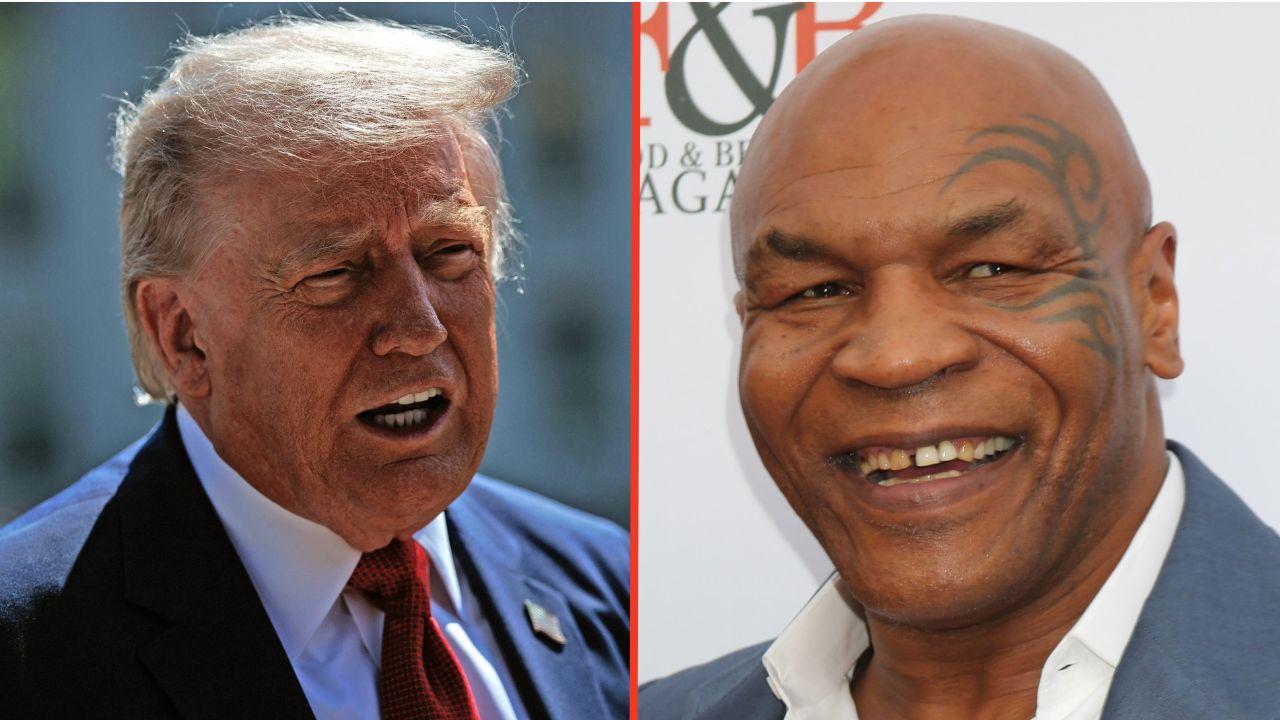 Split photos of Donald Trump and Mike Tyson
