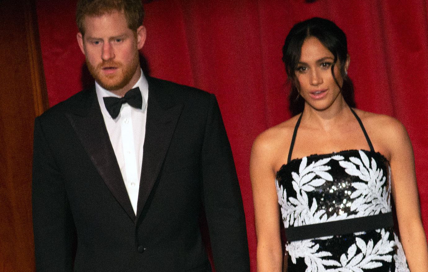 Pregnant Meghan Markle Axes Zambia Tour Over Zika Fears