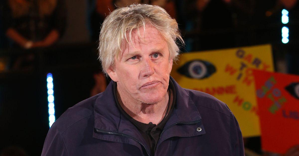 gary busey spotted pants down public park one day charged assault jpg