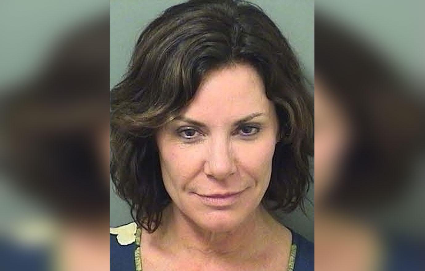 luann de lesseps resurfaces florida shocking arrest