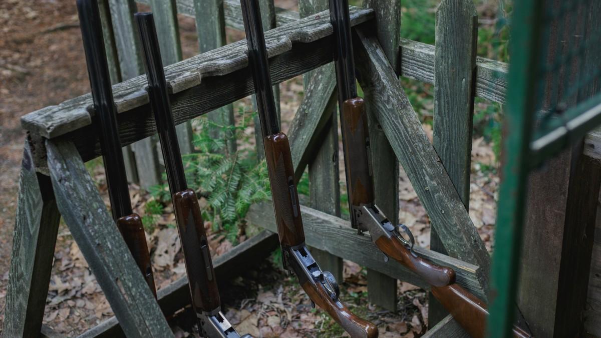 Photo of shotguns