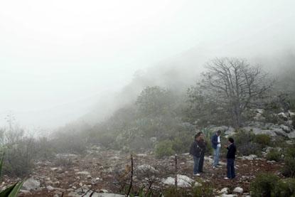 Jenni Rivera's Plane Crash Site