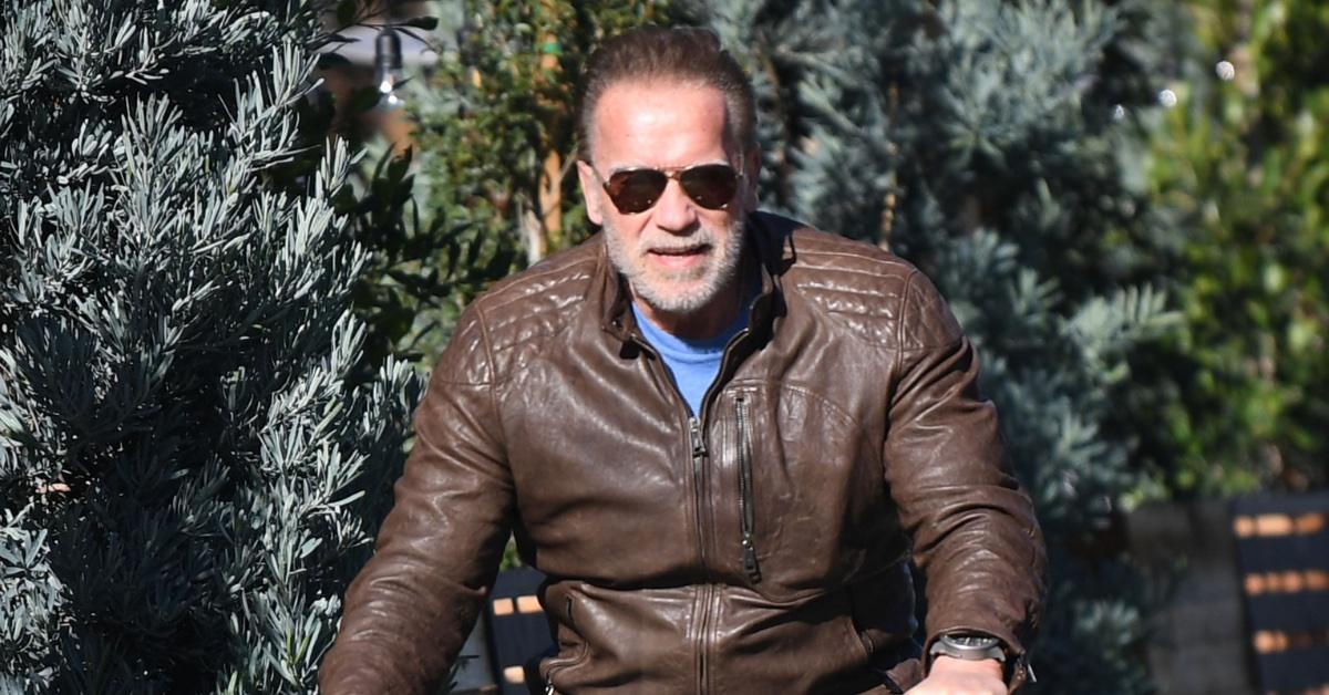 arnold schwarzenegger son joseph baena lawsuit