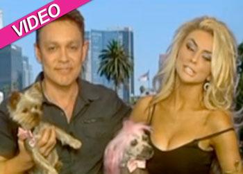 //courtneystodden australia tv